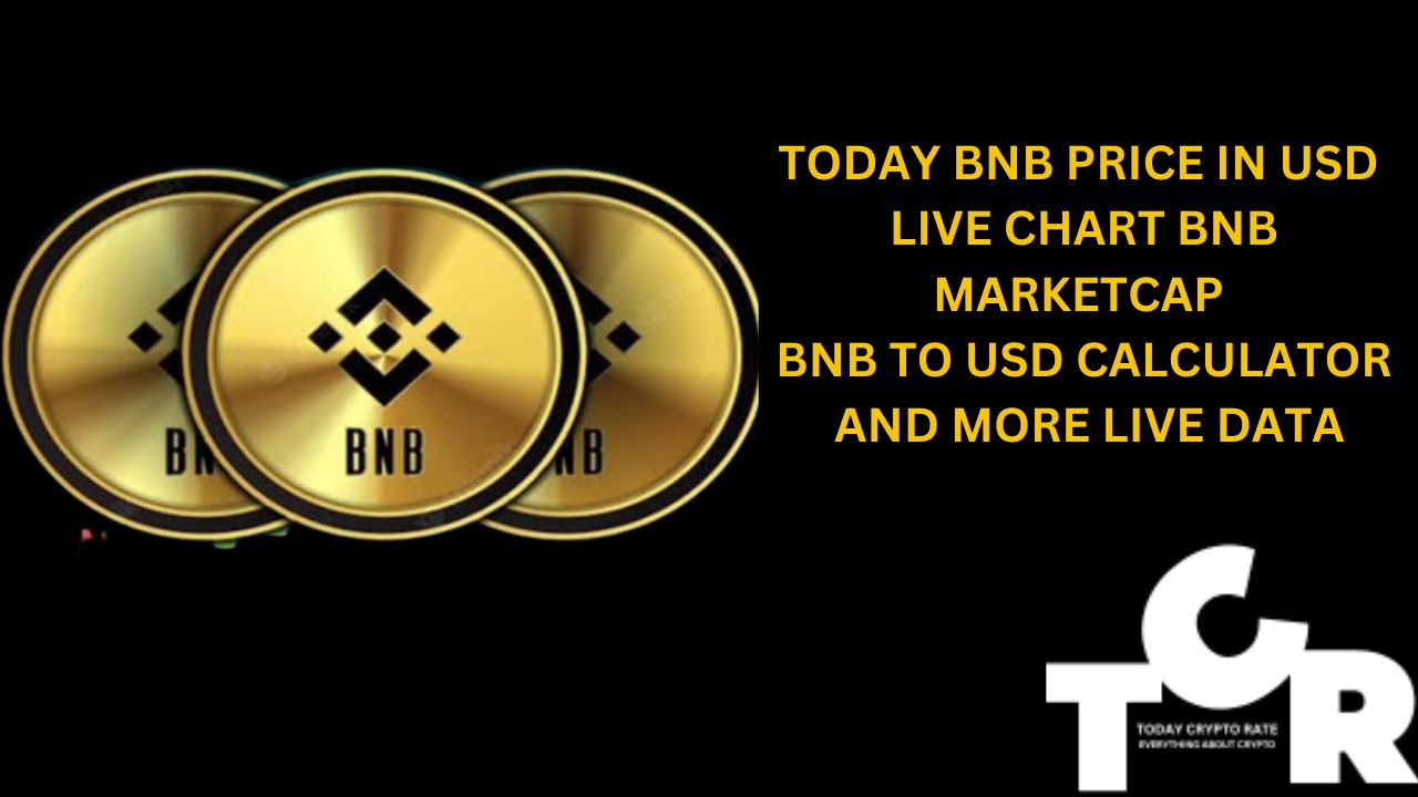 TODAY BNB PRICE IN USD LIVE CHART BNB MARKETCAP BNB TO USD CALCULATOR AND MORE LIVE DATA